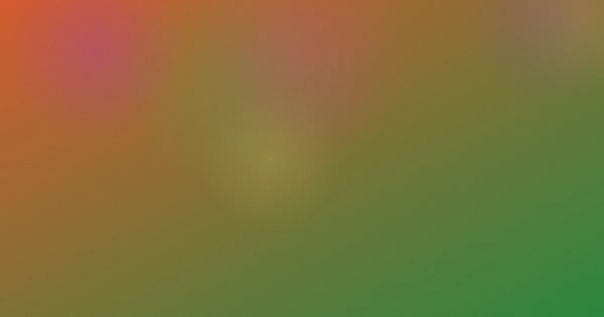 《亲切的金子》怎么用：观影实测